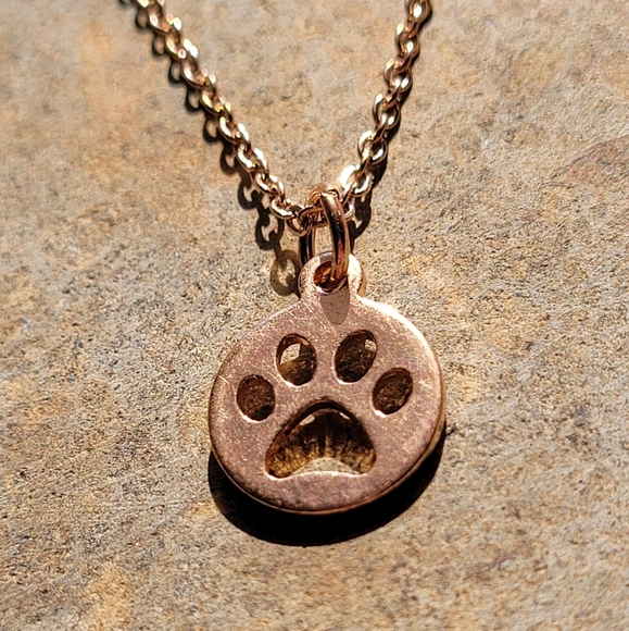 Paw Print Sterling Silver and Gold Plated Necklaces - Picture 4 of 6